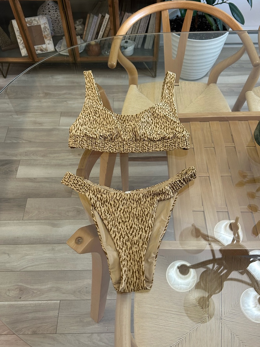 Aries Brown Two-Piece Bikini Set